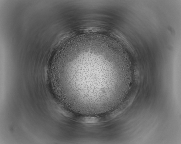 X0000112790169200909041419