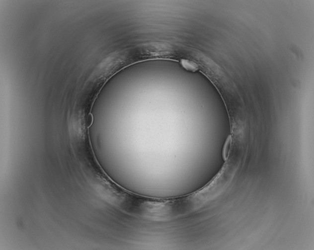 X0000112790170200909041419