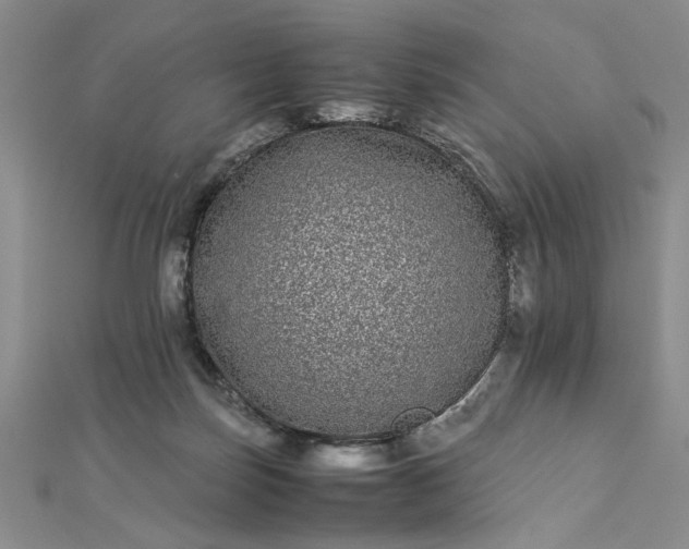 X0000112790171200909041419