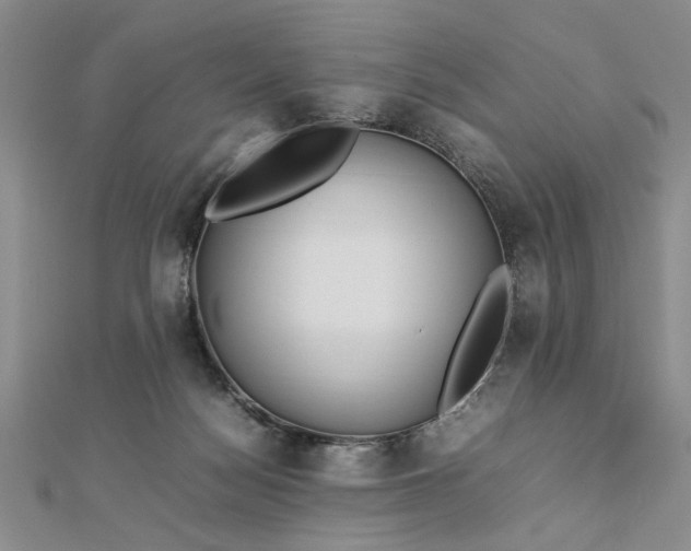 X0000112790172200909041419