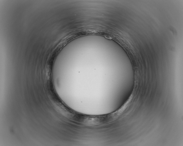 X0000112790174200909041419