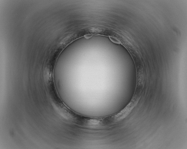 X0000112790176200909041419