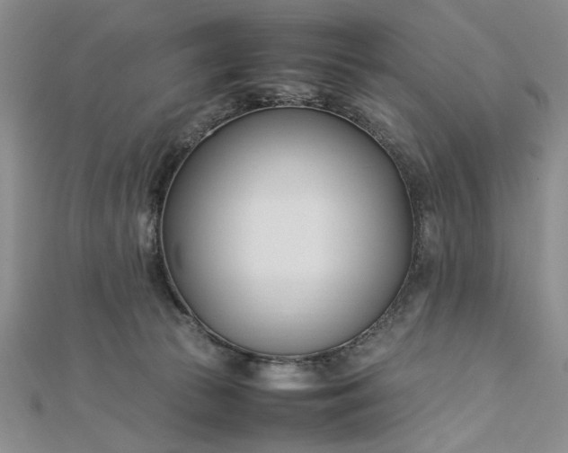 X0000112790177200909041419