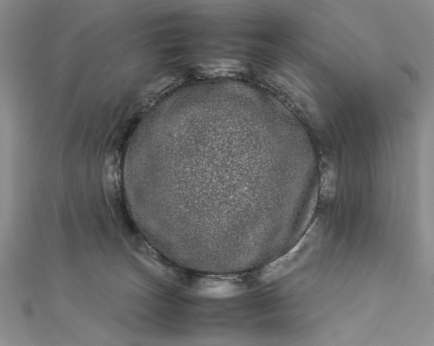 X0000112790179200909041419