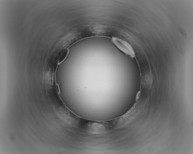 X0000112790180200909041419