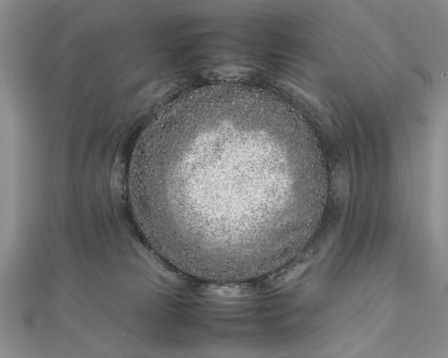 X0000112790181200909041419