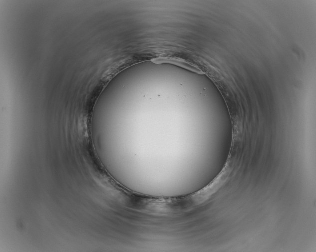 X0000112790182200909041419