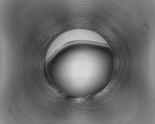 X0000112790184200909041419