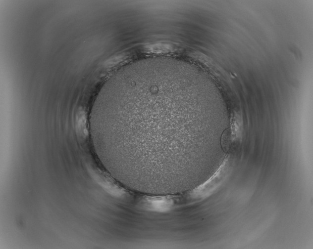 X0000112790187200909041419