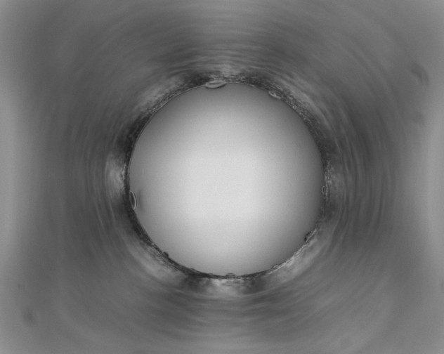 X0000112790188200909041419