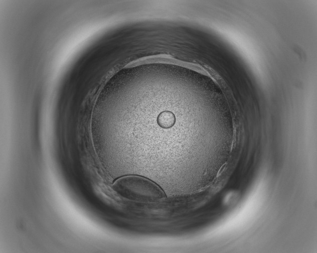 X0000112790191200909041419