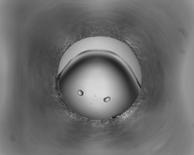 X0000112790192200909041419