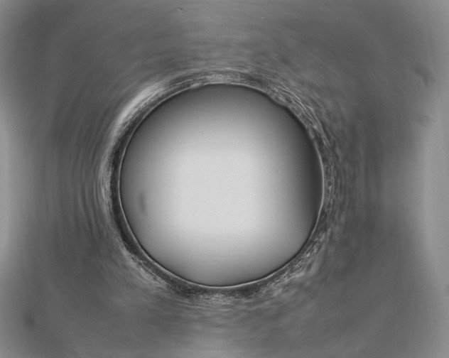 X0000112790197200909041419