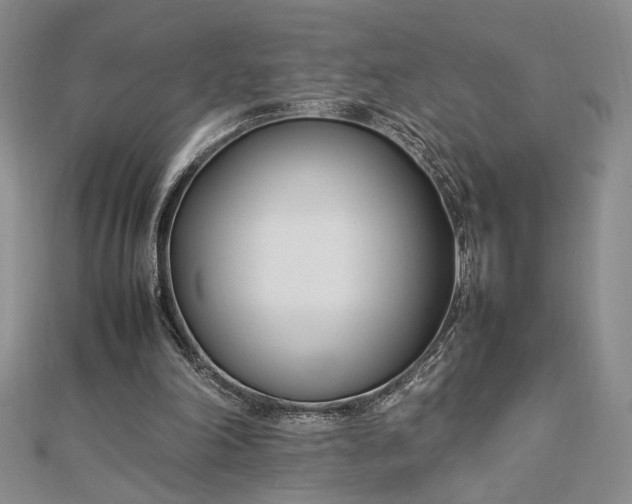 X0000112790198200909041419