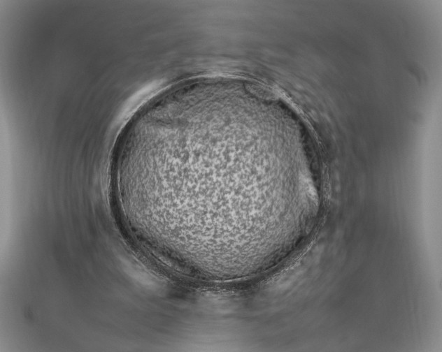 X0000112790199200909041419