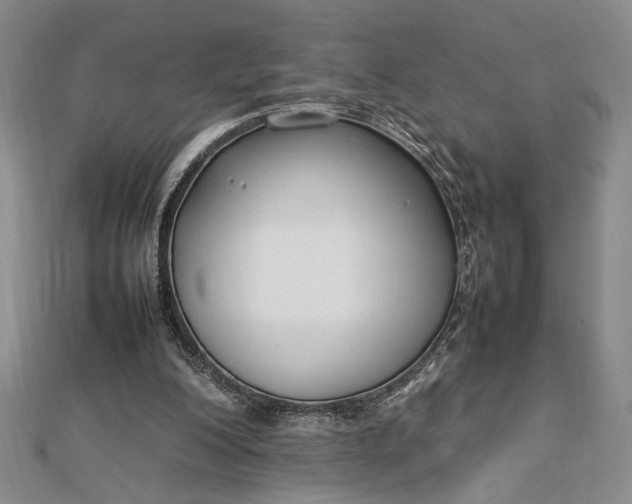 X0000112790200200909041419