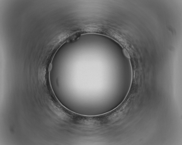 X0000112790201200909041419