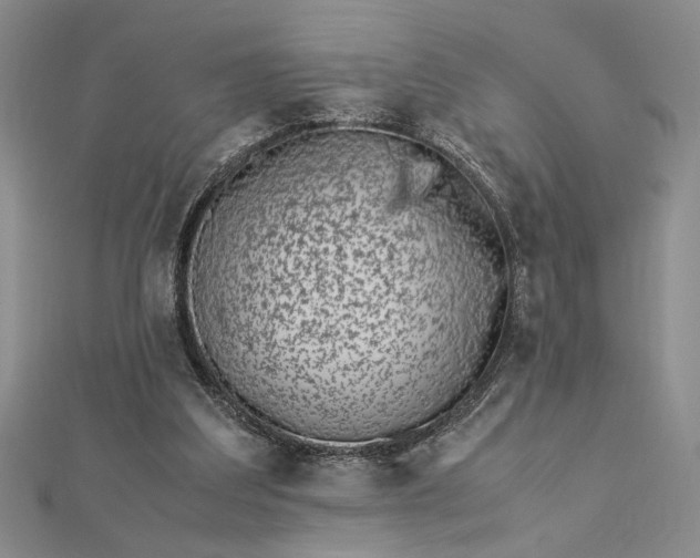 X0000112790203200909041419