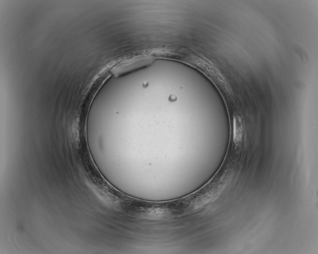 X0000112790204200909041419