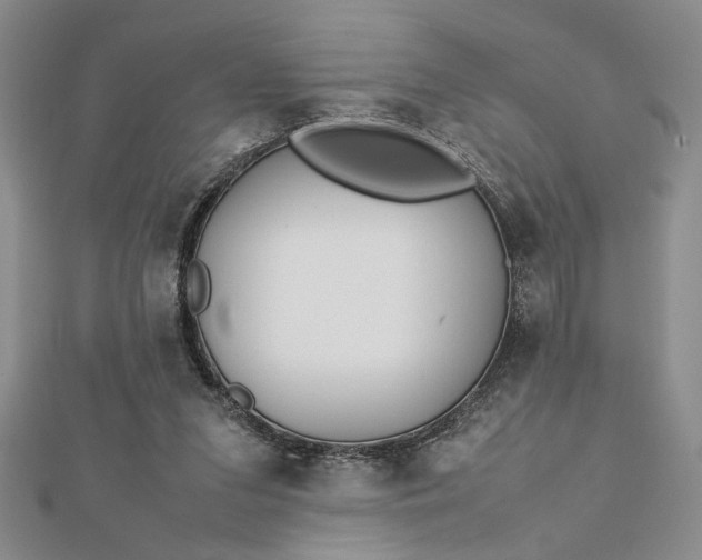 X0000112790207200909041419