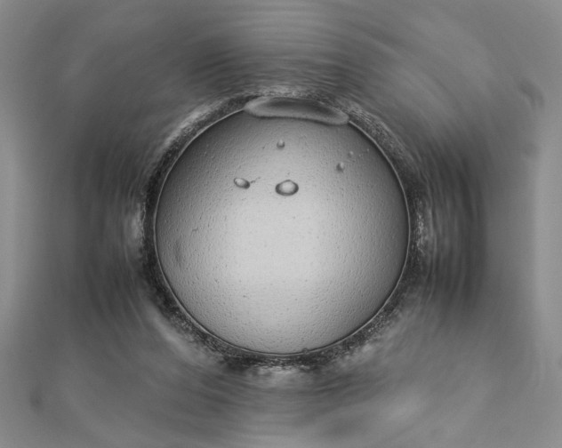 X0000112790208200909041419