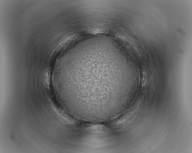 X0000112790210200909041419