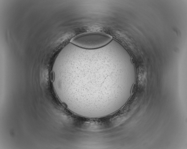 X0000112790211200909041419