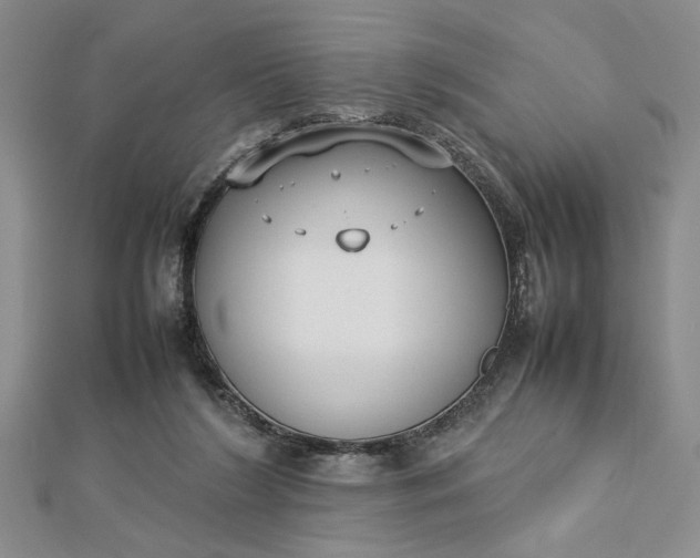 X0000112790212200909041419