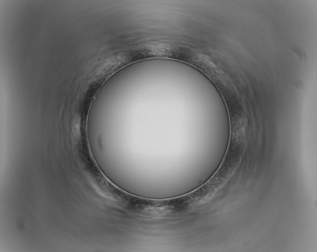 X0000112790213200909041419