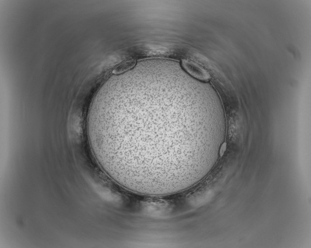 X0000112790215200909041419