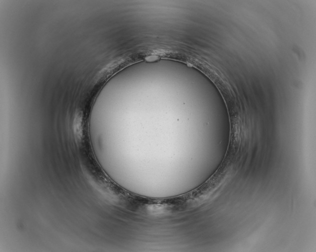 X0000112790216200909041419