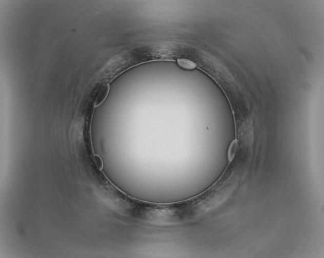 X0000112790217200909041419