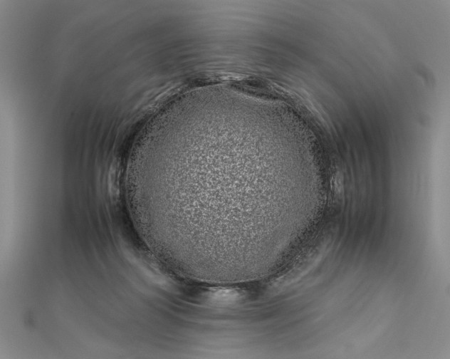 X0000112790218200909041418