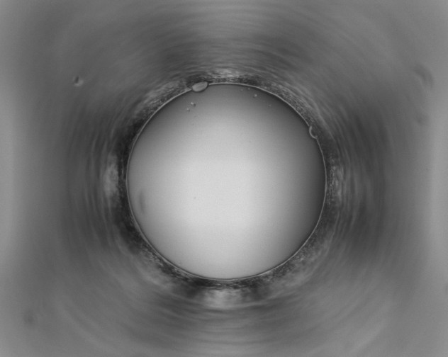 X0000112790220200909041418