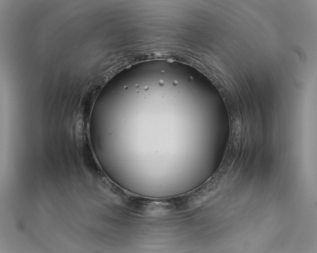 X0000112790222200909041418