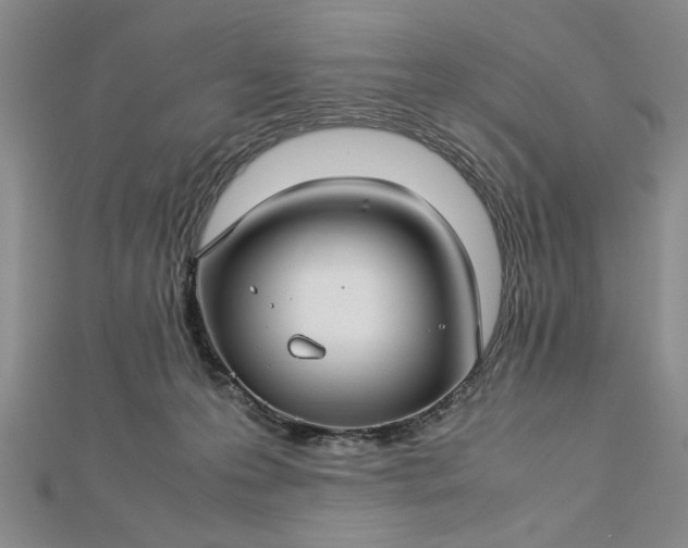 X0000112790223200909041418