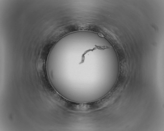 X0000112790225200909041418