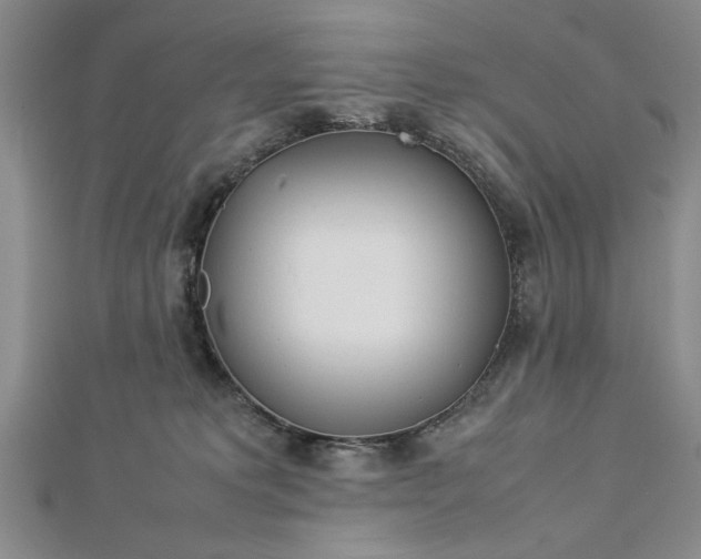 X0000112790229200909041418