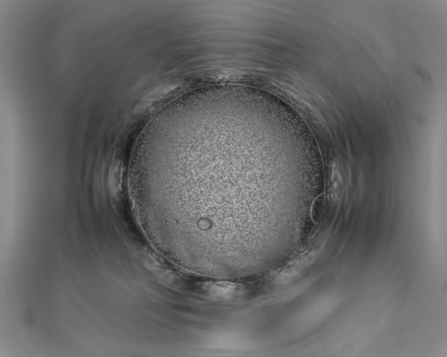 X0000112790230200909041418