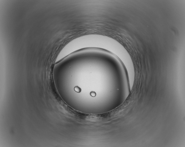 X0000112790231200909041418