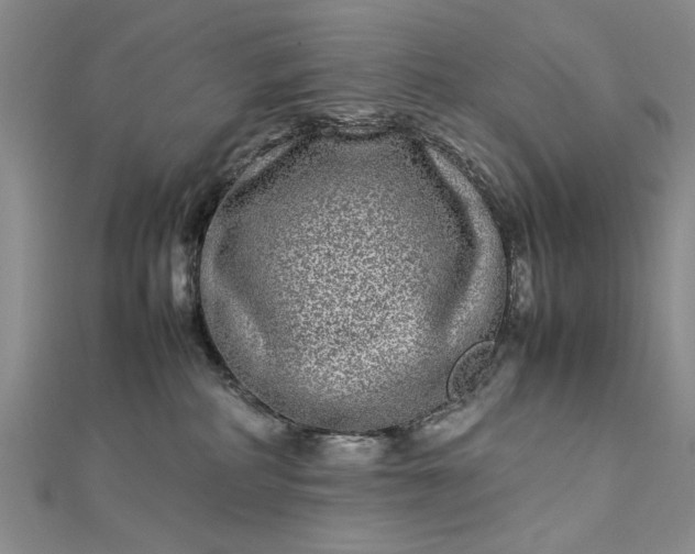 X0000112790234200909041418