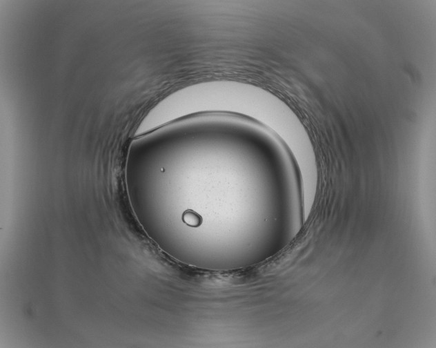 X0000112790235200909041418