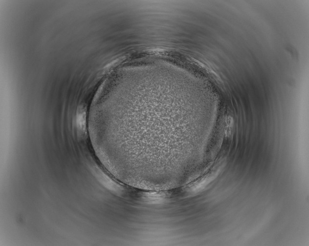 X0000112790238200909041418