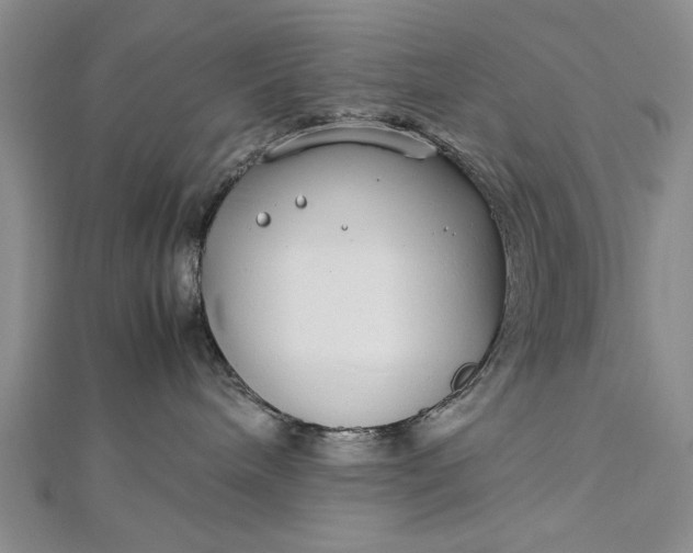 X0000112790240200909041418