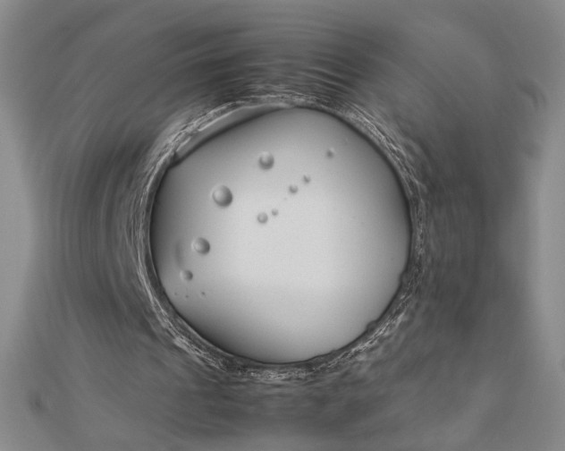 X0000112790241200909041418