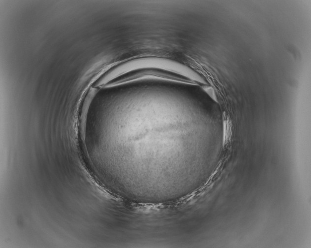 X0000112790243200909041418