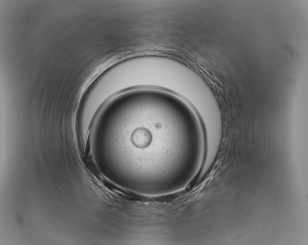 X0000112790244200909041418