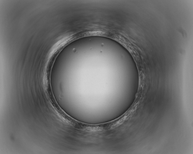 X0000112790245200909041418