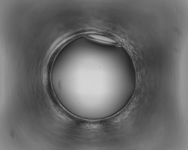 X0000112790247200909041418