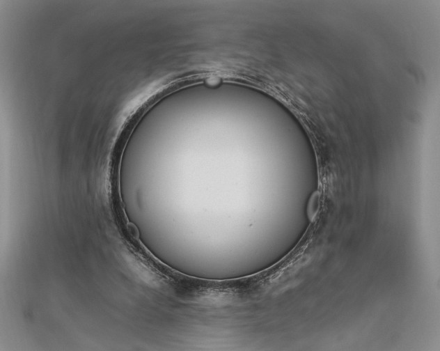 X0000112790248200909041418